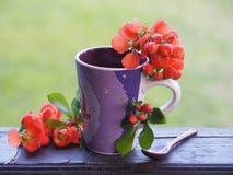 Taza brillante con las flores frescas en el alféizar fotos de archivo libres de regalías Taza brillante con las flores frescas en el alféizar fotos de archivo libres de regalías