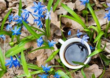 Taza De Flores Calientes Del Café Y De La Primavera Foto de archivo