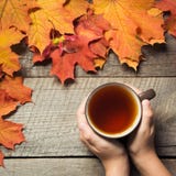 Taza de té a disposición, hojas de otoño coloridas en el tablero de madera Todavía de la caída vida Visión superior fotos de archivo libres de regalías Taza de té a disposición, hojas de otoño coloridas en el tablero de madera Todavía de la caída vida Visión superior fotos de archivo libres de regalías
