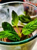 Tazza di tè con le foglie della menta, bevanda tradizionale immagini stock libere da diritti Tazza di tè con le foglie della menta, bevanda tradizionale immagini stock libere da diritti