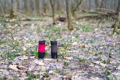 Tazze termiche nella foresta sulla terra la conservazione di calore di caffè o di tè due tazze dei termos immagini stock libere da diritti Tazze termiche nella foresta sulla terra la conservazione di calore di caffè o di tè due tazze dei termos immagini stock libere da diritti