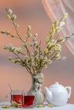 Tea Time With Blooming Willow Royalty Free Stock Image