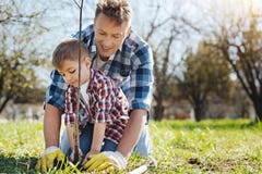 Team von zwei männlichen Familienmitgliedern, die zusammen im Garten arbeiten lizenzfreies stockfoto Team von zwei männlichen Familienmitgliedern, die zusammen im Garten arbeiten lizenzfreies stockfoto