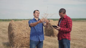 Teamwork agriculture smart farming concept. two men farmers workers studying a lifestyle haystack in field on digital stock video footage Teamwork agriculture smart farming concept. two men farmers workers studying a lifestyle haystack in field on digital stock video footage