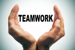Vector Diagram Of Risk Managment Stock Photography - Image: 29273882