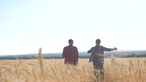 Teamwork smart farming slow motion video. two farmers work in wheat field. lifestyle farmers explore are studying. man stock video footage Teamwork smart farming slow motion video. two farmers work in wheat field. lifestyle farmers explore are studying. man stock video footage