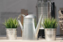 Teapot μετάλλων και διακοσμητικοί κάδοι μετάλλων με τις εγκαταστάσεις γι στοκ εικόνα με δικαίωμα ελεύθερης χρήσης Teapot μετάλλων και διακοσμητικοί κάδοι μετάλλων με τις εγκαταστάσεις γι στοκ εικόνα με δικαίωμα ελεύθερης χρήσης