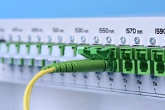 Technology Network Center With Fiber Optic Equipment Patch Cords Closeup Royalty Free Stock Images