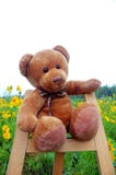 Teddy Bear Royalty Free Stock Photos