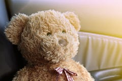 Teddy Bear Brown Close Up Lonely Feel In My Car Royalty Free Stock Photography