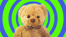 Teddy bear on a color background. A brown bear. Favorite children`s soft toy.
