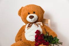 Teddy Bear grande que sostiene el ramo color de rosa rojo, sorpresa romántica del regalo, día de San Valentín, aniversario, amor fotografía de archivo Teddy Bear grande que sostiene el ramo color de rosa rojo, sorpresa romántica del regalo, día de San Valentín, aniversario, amor fotografía de archivo