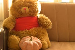 Teddy Bear, mit einem Kürbis stockfotos Teddy Bear, mit einem Kürbis stockfotos
