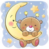 Teddy Bear on the moon