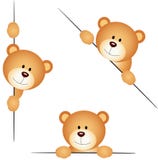 Teddy bear peeking Stock Images Teddy bear peeking Stock Images