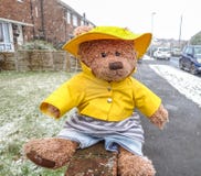 teddy bear in raincoat