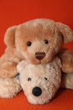 Teddy Bears 9 Royalty Free Stock Photography