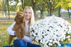 Teen girl and her red poodle stock photo Teen girl and her red poodle stock photo