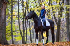 Teenage Girl Riding Horse In Autumn Park Stock Images