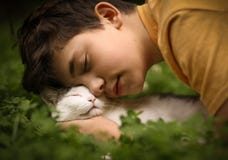 Teenager Boy With Cat In Hummock Nap Royalty Free Stock Photography Teenager Boy With Cat In Hummock Nap Royalty Free Stock Photography