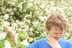 Teenager With Allergies Standing In A Blue T-shirt Among The Jasmine Bushes And Suffers From Bad Health Stock Photography Teenager With Allergies Standing In A Blue T-shirt Among The Jasmine Bushes And Suffers From Bad Health Stock Photography