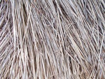 Telhado de Thached coberto com a palha de lingüeta seca cutted testes padrões, detalhe fotografia de stock Telhado de Thached coberto com a palha de lingüeta seca cutted testes padrões, detalhe fotografia de stock