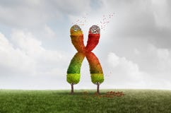 Telomere het Verouderen Gezondheidsconcept royalty-vrije illustratie Telomere het Verouderen Gezondheidsconcept royalty-vrije illustratie