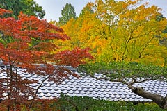 Tempeldach Japans Kyoto Tofukuji mit japanischem Ahornbaum herein für Stockfotografie Tempeldach Japans Kyoto Tofukuji mit japanischem Ahornbaum herein für Stockfotografie