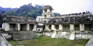 Prozessorientiertes