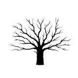 Template of dead old tree silhouette royalty free illustration Template of dead old tree silhouette royalty free illustration