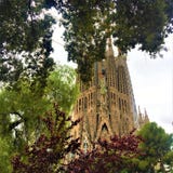 The Temple Expiatori de la Sagrada Familia and nature in Barcelona city, Spain stock photo The Temple Expiatori de la Sagrada Familia and nature in Barcelona city, Spain stock photo
