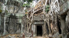 Templo Cambodia de Tah Prohm Templo Cambodia de Tah Prohm