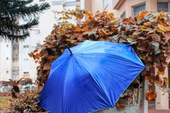 Tempo do inverno em Israel Guarda-chuva com os pingos de chuva na cerca, após a chuva imagem de stock Tempo do inverno em Israel Guarda-chuva com os pingos de chuva na cerca, após a chuva imagem de stock