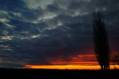 Temps de coucher du soleil dans la campagne d'Italien d'hiver Photos stock Temps de coucher du soleil dans la campagne d'Italien d'hiver Photos stock