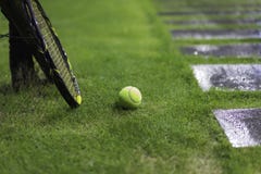 Tennis ball with racket on wet grass after raining Stock Images Tennis ball with racket on wet grass after raining Stock Images
