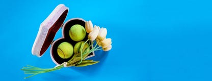 Tennis Love Layout Tennis Balls In Box In Shape Of Heart With Bouquet White Tulips On Blue Background. Women`s Day March 8. Copy Royalty Free Stock Photos