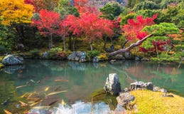 Tenryu-ji garden in fall, Arashiyama, Kyoto, Japan
