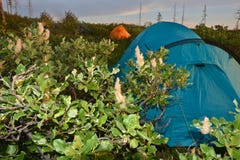 Tent in de toendra stock afbeeldingen Tent in de toendra stock afbeeldingen