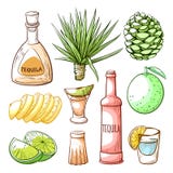 Tequila pub, mexican drink hand drawn set royalty free illustration Tequila pub, mexican drink hand drawn set royalty free illustration