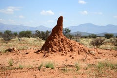 Termite mound, Namibia, Africa