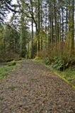 Terrain de camping dans Smith River Rec Area photos stock Terrain de camping dans Smith River Rec Area photos stock