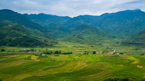 Terrasvormig padieveld in Mu Cang Chai, Vietnam stock foto Terrasvormig padieveld in Mu Cang Chai, Vietnam stock foto