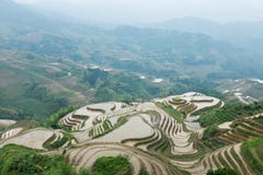 Terrazzi del riso a Longsheng, Cina fotografia stock libera da diritti Terrazzi del riso a Longsheng, Cina fotografia stock libera da diritti