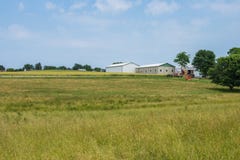 Terreno coltivabile rurale della contea di York Pensilvania del paese, un giorno di estate fotografia stock Terreno coltivabile rurale della contea di York Pensilvania del paese, un giorno di estate fotografia stock