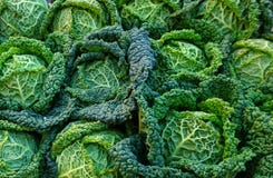 Testa verde della vista superiore del cavolo Verdura naturale, organica e di salute fotografia stock libera da diritti Testa verde della vista superiore del cavolo Verdura naturale, organica e di salute fotografia stock libera da diritti
