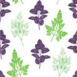 Teste padr?o sem emenda Especiarias A salsa, a manjeric?o e o aneto s?o necess?rios para cozinhar Apropriado como o papel de pare ilustração stock Teste padr?o sem emenda Especiarias A salsa, a manjeric?o e o aneto s?o necess?rios para cozinhar Apropriado como o papel de pare ilustração stock