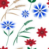 Teste padrão floral sem emenda com centáureas e spikelets ilustração stock Teste padrão floral sem emenda com centáureas e spikelets ilustração stock