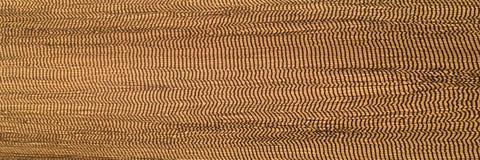 Teste padrão floral sem emenda do damasco Papel de parede real O papel de fundo do ouro, textura é vintage velho cor afligida do fotos de stock Teste padrão floral sem emenda do damasco Papel de parede real O papel de fundo do ouro, textura é vintage velho cor afligida do fotos de stock