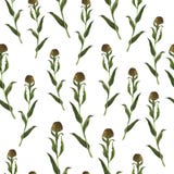 Teste padrão sem emenda com as ervas marrons e verdes Ilustração da aguarela ilustração do vetor Teste padrão sem emenda com as ervas marrons e verdes Ilustração da aguarela ilustração do vetor