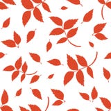 Teste padrão sem emenda com as folhas de outono vermelhas no branco Ilustração do vetor ilustração do vetor Teste padrão sem emenda com as folhas de outono vermelhas no branco Ilustração do vetor ilustração do vetor